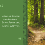 Életem hajója